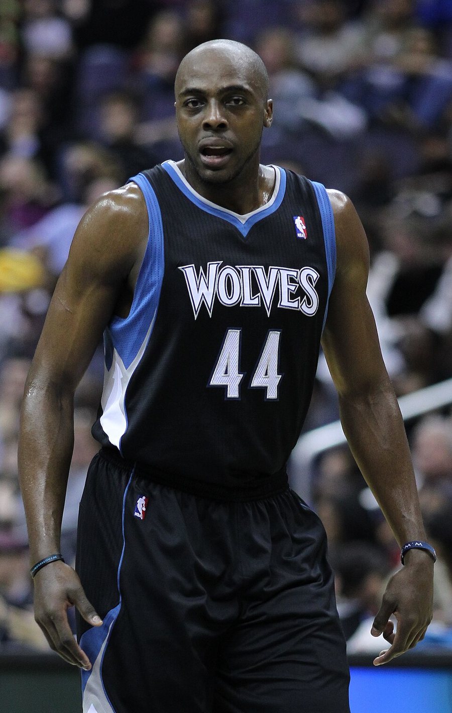 Anthony Tolliver portréja