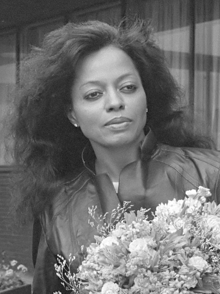 Diana Ross portréja