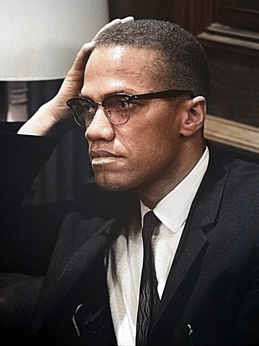Malcolm X portréja