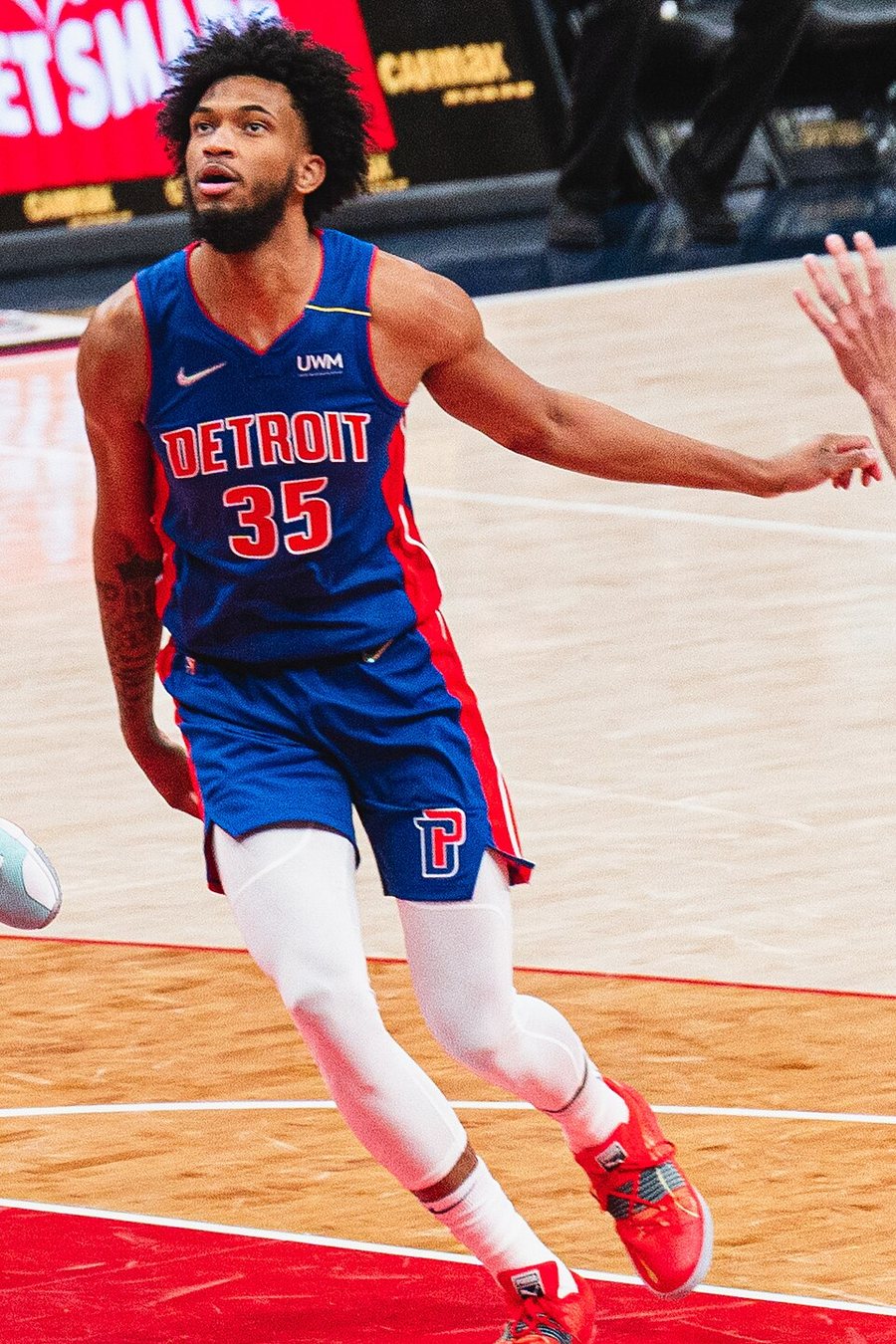 Marvin Bagley III portréja