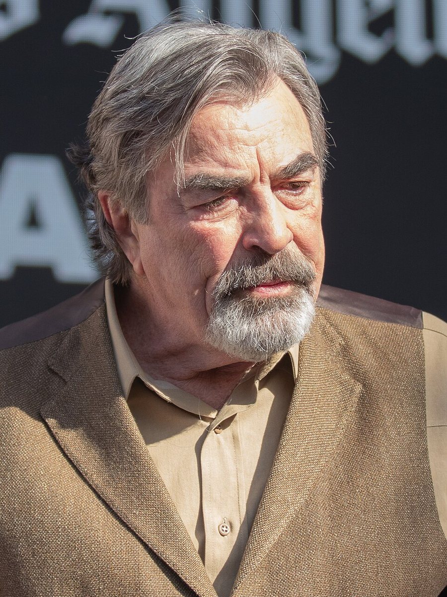 Tom Selleck portréja