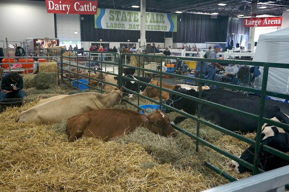 Michigan State Fair