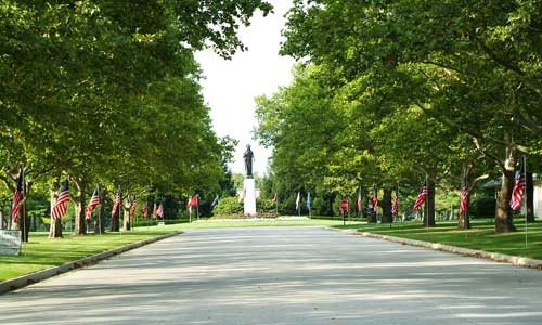 A tree-lined road winds through Mount Elliott Cemetery